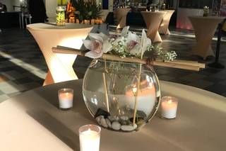 Cortez Event Agency - 10