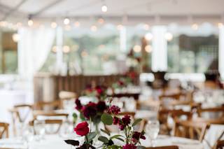 Peony Design Studio - 33