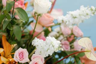 Vlady Flowers - 112