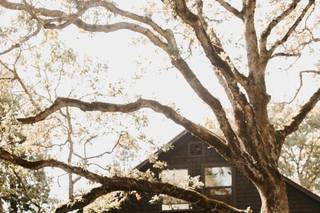 The Griffin House on the Columbia River Gorge - 16