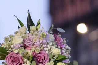 Peony Design Studio - 22