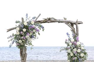 Robin Ganter Photography - 8