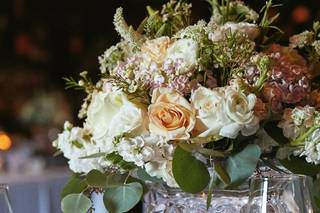 Phillip's Flowers - 31