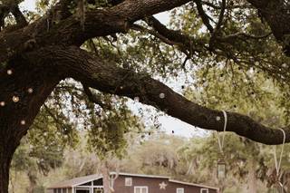 Hyde Park Farm & Polo Club - 6