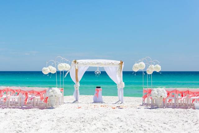 Princess Wedding Co. 5