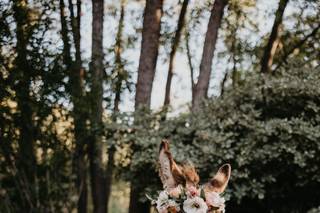 Haul N Ass Productions - 124