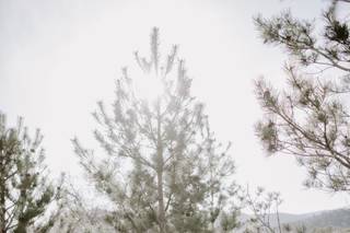 Kisa Conrad Photography - 71