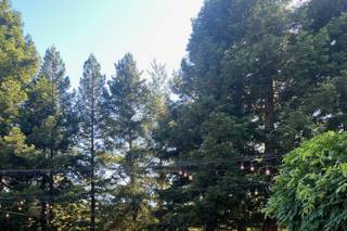 Rancho Nicasio - 17