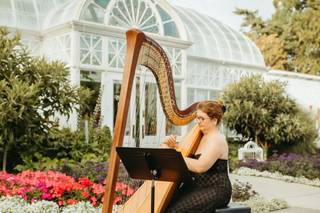 Alishia Joubert-Bellingham area Harpist - 6