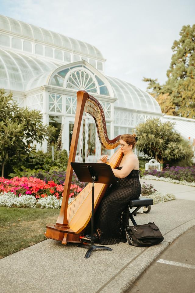 Alishia Joubert-Bellingham area Harpist - 3
