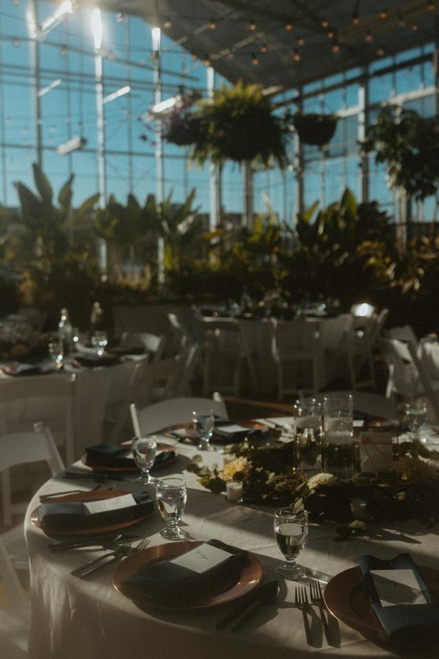 Rentalex Events - 2
