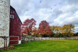 The Little Red Barn of Nunica, LLC - 59
