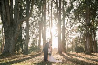 Timeless Tree Weddings - 19