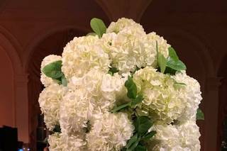 Faith Flowers - 10