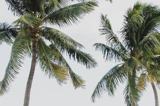 Southernmost Beach Resort - 24