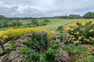 Nuptials for Nature - SAHC Community Farm - 7