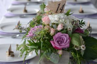 Best Event Rental - 4