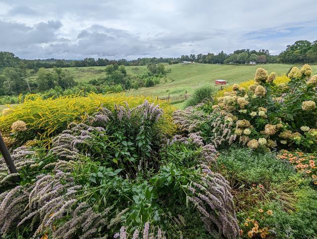 Nuptials for Nature - SAHC Community Farm - 4