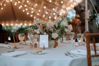 Allie Levine Events - 7