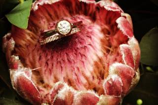 Blooming Elegance - 8