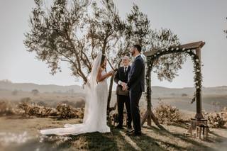 Olive Tree Officiating - 8