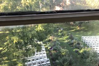 Loring-Greenough House - 6