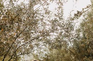 Amanda Caitlin Photography - 55