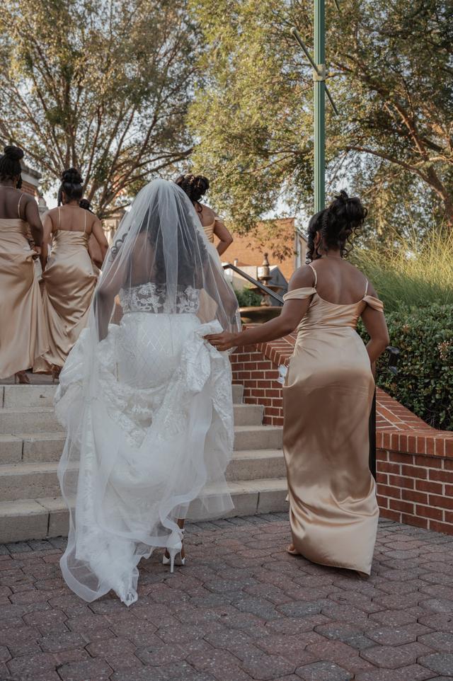 M. Stephens Photography - 2