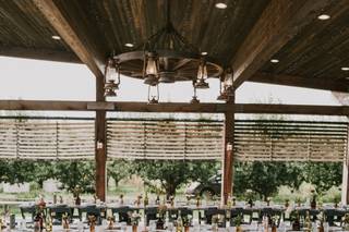 Mt View Orchards Weddings - 17