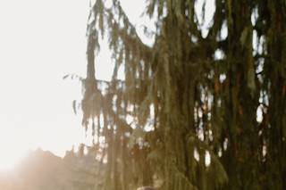 Annie Ritter-Jones Photography - 21