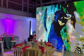 Wilder Mind Events, LLC - 32