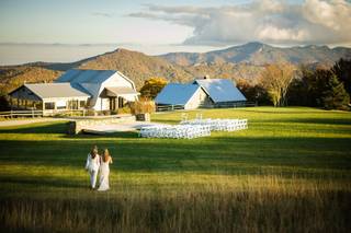 Cynthia Viola Photography - 20