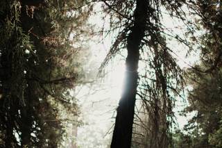 HFB Photography - 10