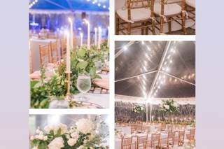 Wisteria Designs - 35