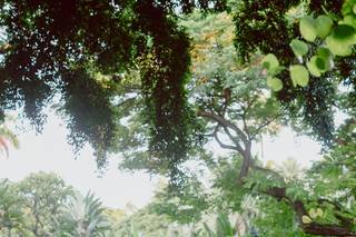 Sarah Jual Photography - 15
