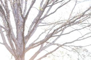 Isaac and Amanda Photography LLC - 45