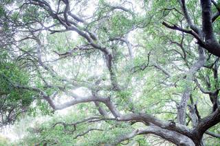Glenn Alexander Photography - 19
