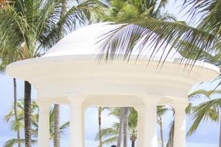 Tropical Pictures - 39
