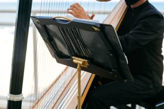 Vince Zentner Harpist - 10