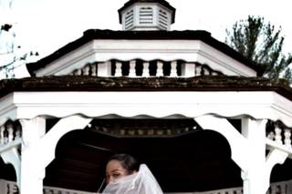 Lily's Bridal - 13