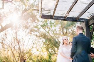 Andy Shepard Photography - 6