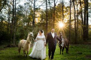 Matthew Druin & Co. Photography - 20