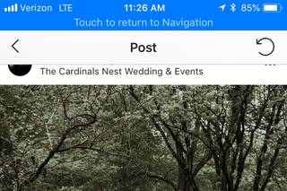 The Cardinal's Nest - 48