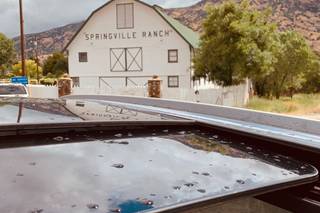 Springville Ranch - 34