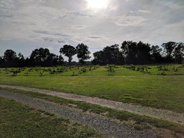 Fishing Creek Vineyard - 3