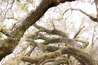 Ashley Cox Photography - 32
