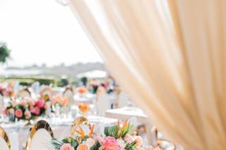 Bliss Productions - 26