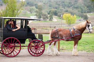 ProImage Weddings - 7