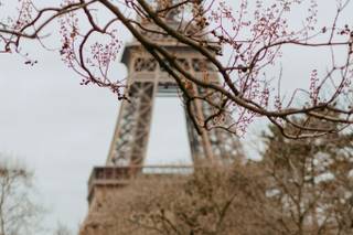 The Paris Officiant - 77