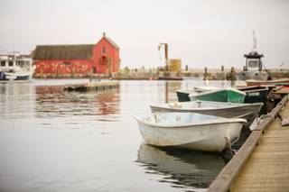 Debbie Segreve Photography - 18